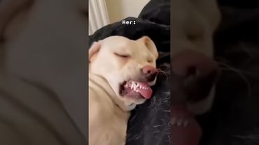 No babe, you look great without makeup...