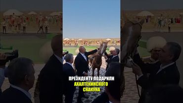 Президенту Азербайджана Ильхаму Алиеву преподнесен в дар ахалтекинский скакун