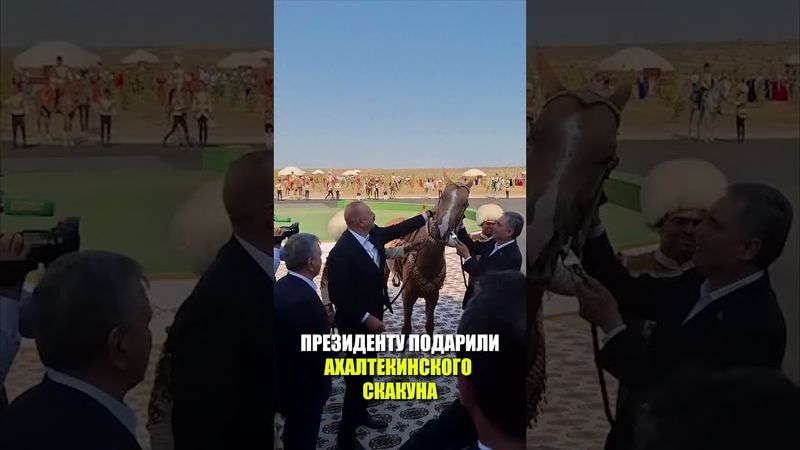 Президенту Азербайджана Ильхаму Алиеву преподнесен в дар ахалтекинский скакун