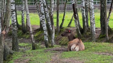 Residents and activists fight to save Russian national park | AFP