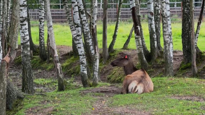Residents and activists fight to save Russian national park | AFP