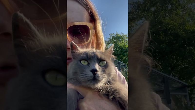 Не бойся 🤡🤡 #юмордлявзрослых