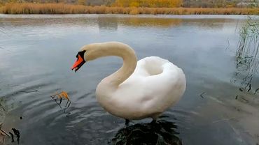 #Славянск. 29 октября 2025г. Вечер.