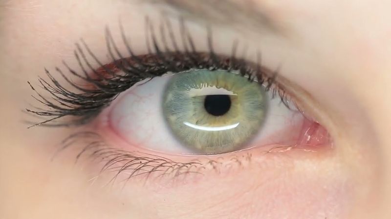 Время (Первый канал, 24.09.2014) Анонс