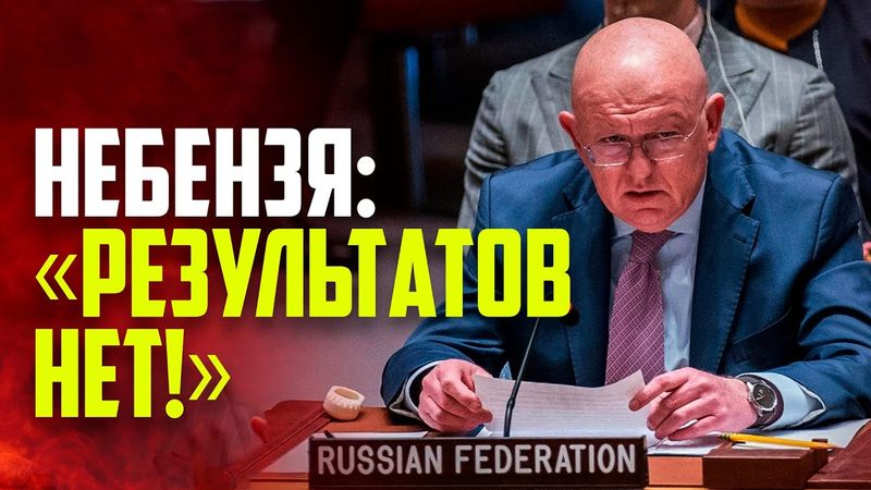 Выступление Василия Небензи на заседании Совета Безопасности ООН по ситуации в Судане