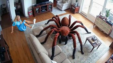 ЗАБАВНЫЕ ПРАНКИ, КОТОРЫЕ ЗАШЛИ СЛИШКОМ ДАЛЕКО