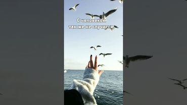 #человеком НАДО СТАТЬ!#жизнь #цитаты #философия #психология #shofts