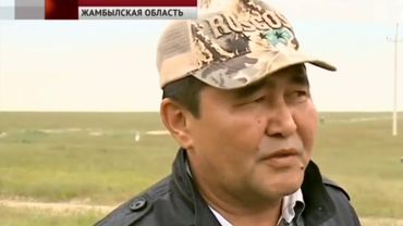 Это надо видеть! Саранча поедает степи.