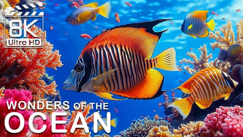 Ocean Life 8K (ULTRA HD) 🌊 Stunning Coral Reefs & Exotic Fish - Relaxing Underwater Adventure