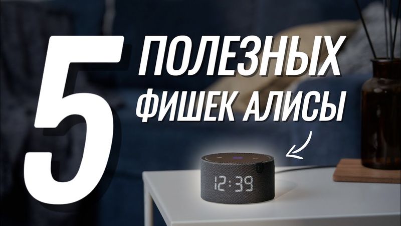 Эти 5 НАВЫКОВ Алисы помогут вам в жизни