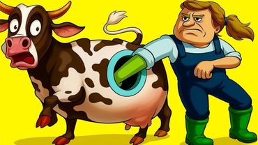 Зачем Корове Дырка Сбоку?