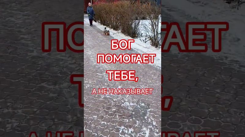 БОЖЬЯ ЗАЩИТА #цитаты #успех #сильныесловасосмыслом #саморазвитие