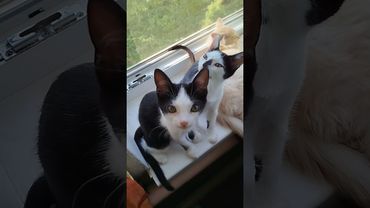 31 августа 2025 г.