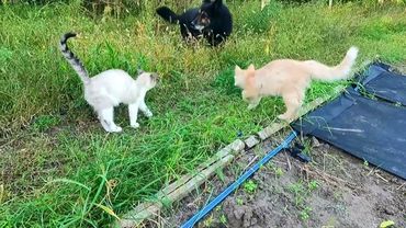 #Славянск. 20 сентября 2025г. Вечер.