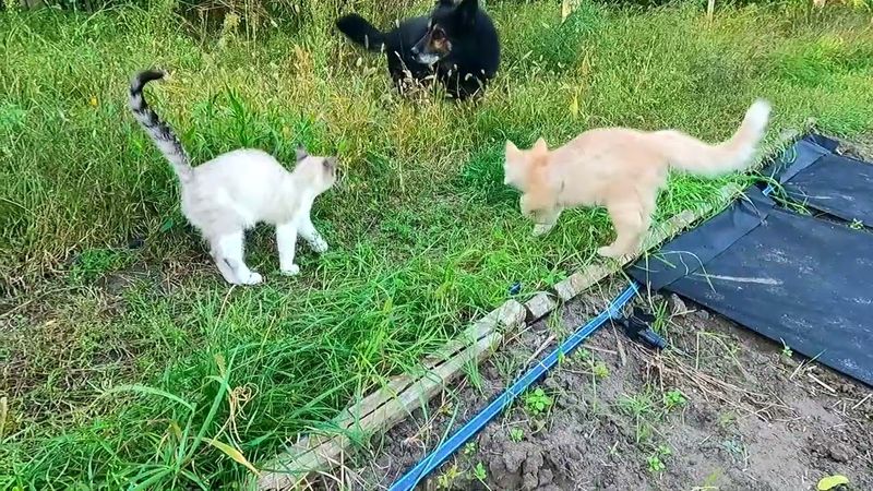 #Славянск. 20 сентября 2025г. Вечер.