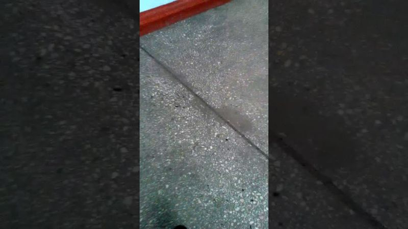 Тмой одноклассник бублик?