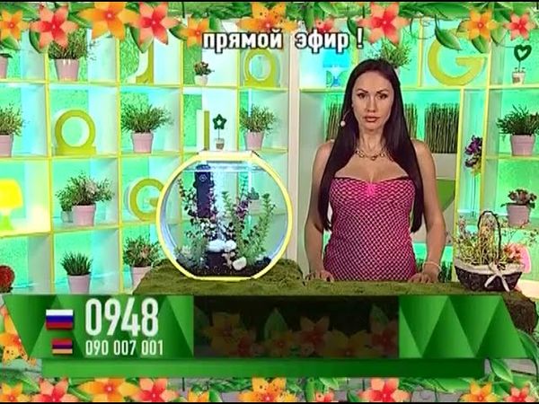 Ксения Ибрагимова - "Удачный час" (01.09.16)