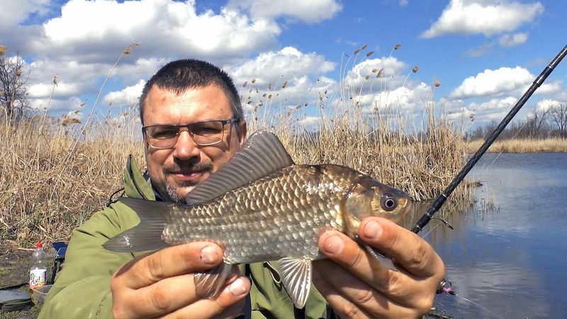 Карась на донку ранней весной. Монтаж и прикормка для весеннего карася. Лучший монтаж на карася.