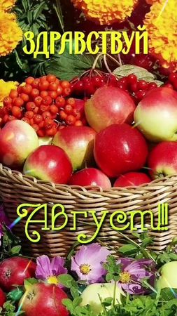 TikTok video #6991285798335171841