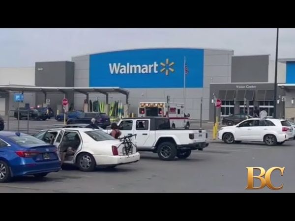 Michigan Walmart stabbing suspect identified, police seek terrorism, assault charges