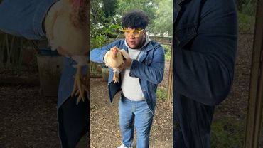 Esto no te lo esperabas 🤣