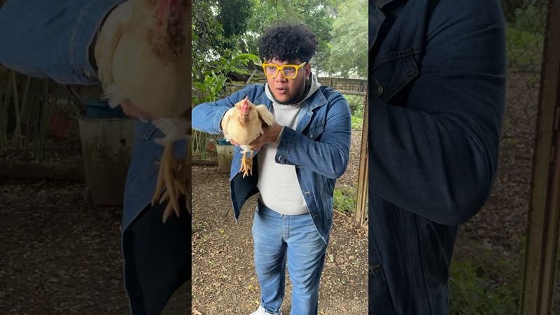 Esto no te lo esperabas 🤣