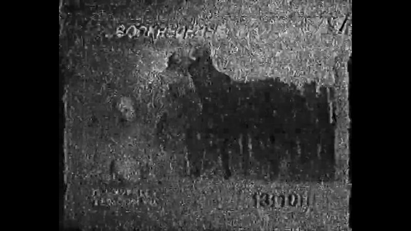 Фрагмент программы передач на завтра (ОРТ, 23.08.1997) (ч/б)