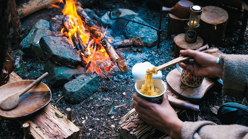 Relaxing Solo Camp: Fire & Bushcraft in Wild Forest (Japan)