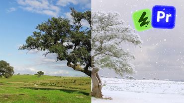 Weather Warp: Summer to Winter Transformation