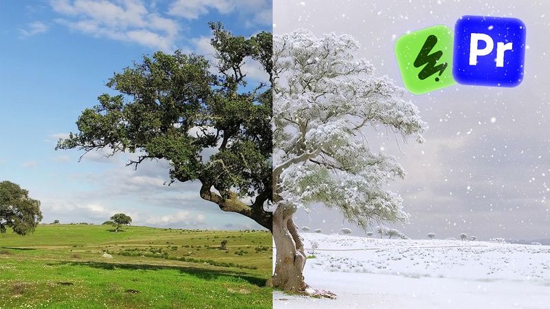 Weather Warp: Summer to Winter Transformation