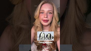 9 января 2026 г.