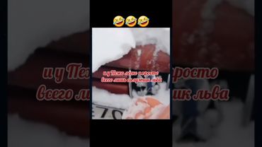 Песня про автомобили