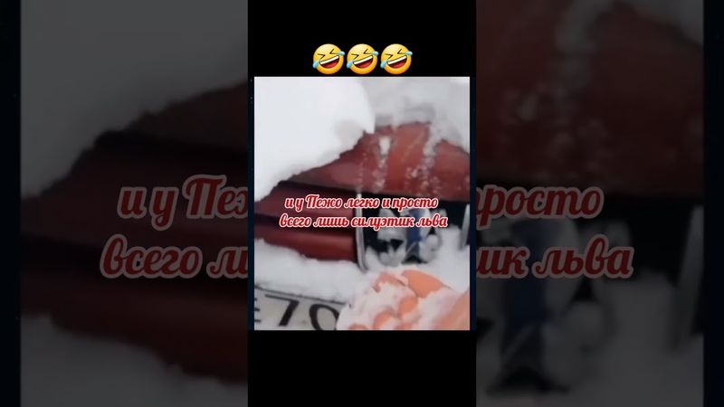 Песня про автомобили