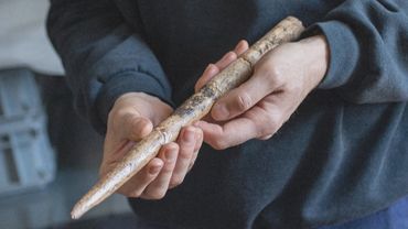 Люди делали оружие из костей китов уже 20 тыс. лет назад