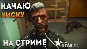 КАЧАЮ ПИТОМЦА НА СТРИМ.  GTA5RP С НУЛЯ. промо TOPOL. ГТА5 РП