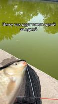 Или ка сюда фраерок #рыбалка #fishing #паркпобеды #прекол #фраерок 