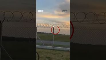 У Польщі розбився винищувач F-16 #shorts #польща #F16 #винищувач #аварія