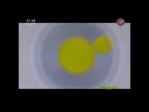 Рекламные заставки ОТС г.Новосибирск (2012-2013)