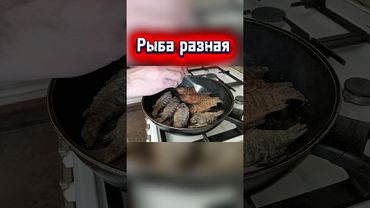 Рыба разная #рыба #юмор