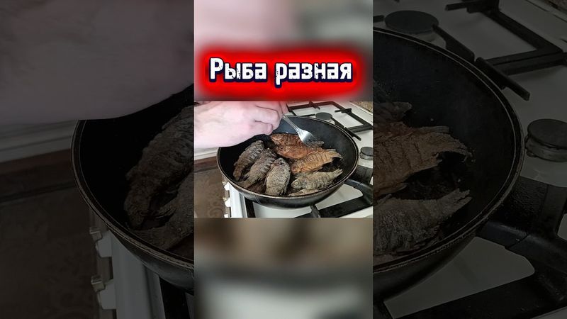 Рыба разная #рыба #юмор