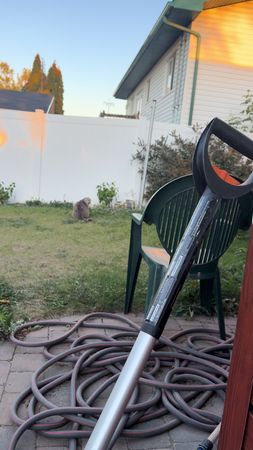 Modest#funny#edmonton#canada_life🇨🇦 