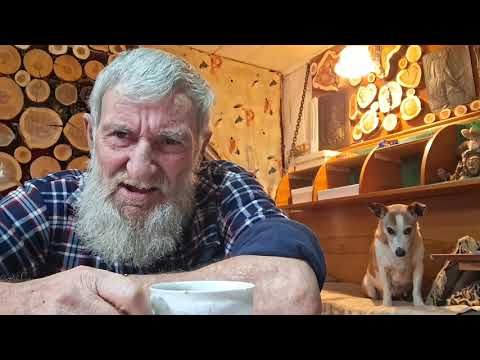 Мои краткие рассуждения по поводу схемы Долиной.