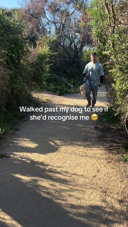 Was worried for a second  #goldenretriever #dogmum 