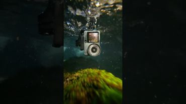 Dropped the camera and… WOW! | Action 6