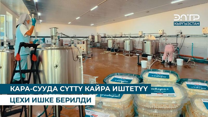 КАРА-СУУДА СҮТТҮ КАЙРА ИШТЕТҮҮ ЦЕХИ ИШКЕ БЕРИЛДИ