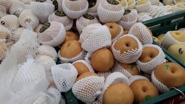 Таиланд. Первые впечатления на острове Панган