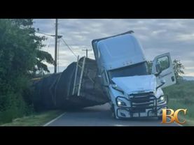 Warning after 250 million bees escape overturned truck in Washington