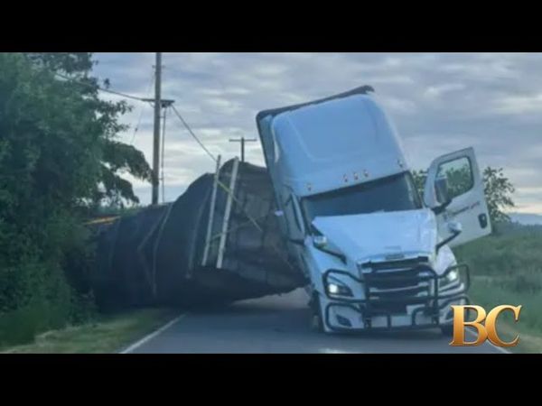 Warning after 250 million bees escape overturned truck in Washington