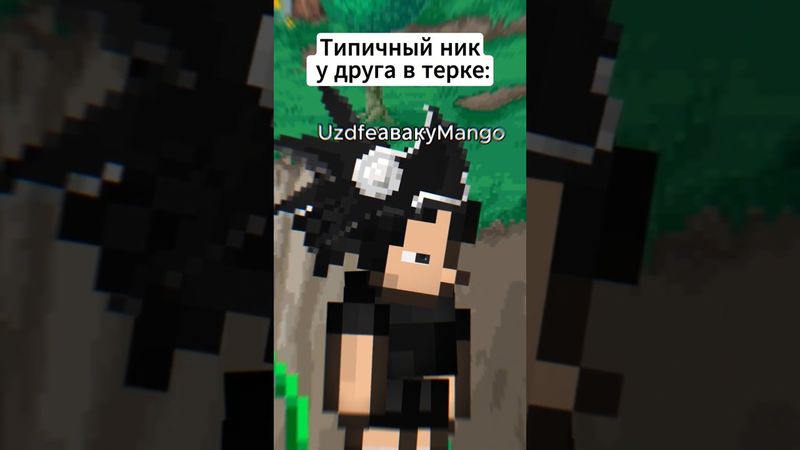 Никнеймы друзей в Терке: #terraria #террария #юмор #мемы #анимация #animation