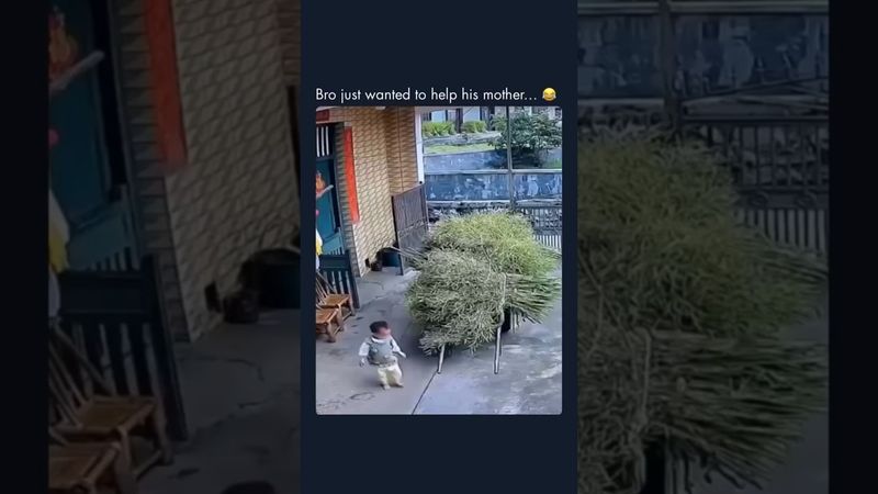 Bro just wanted to help his mother...😂 #funny